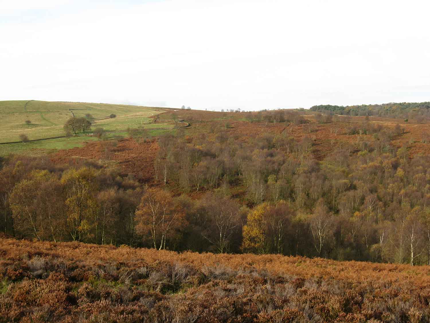 Blacka Moor in autumn by N Abbas