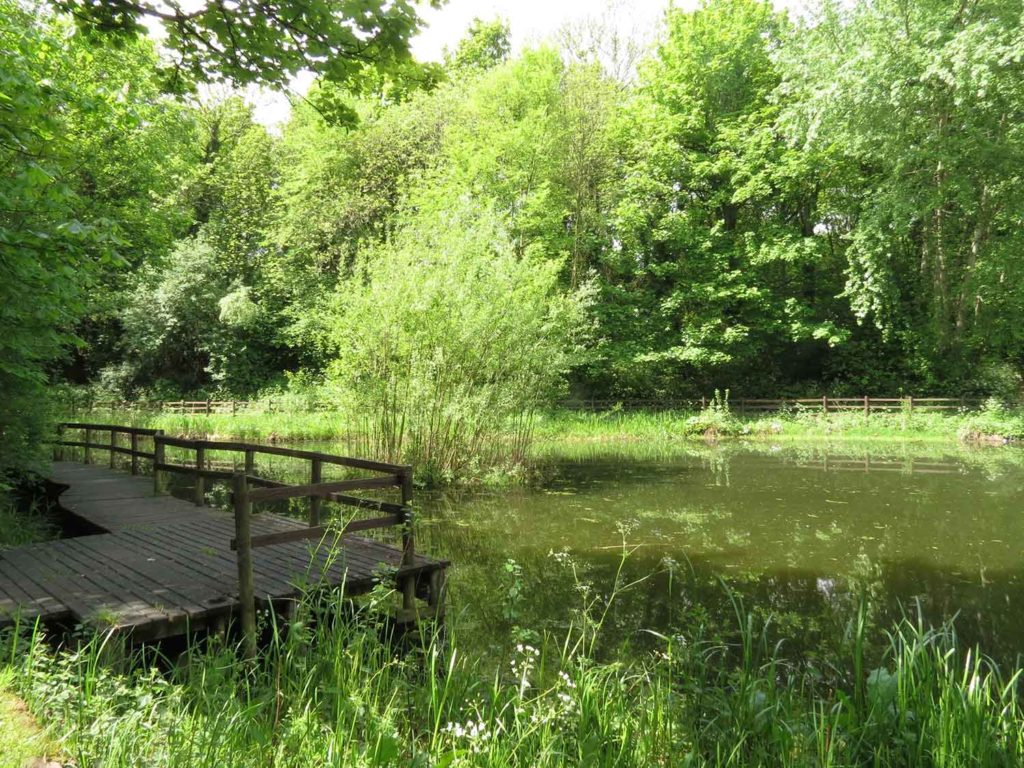 Crabtree Ponds by Sarah Sidgwick