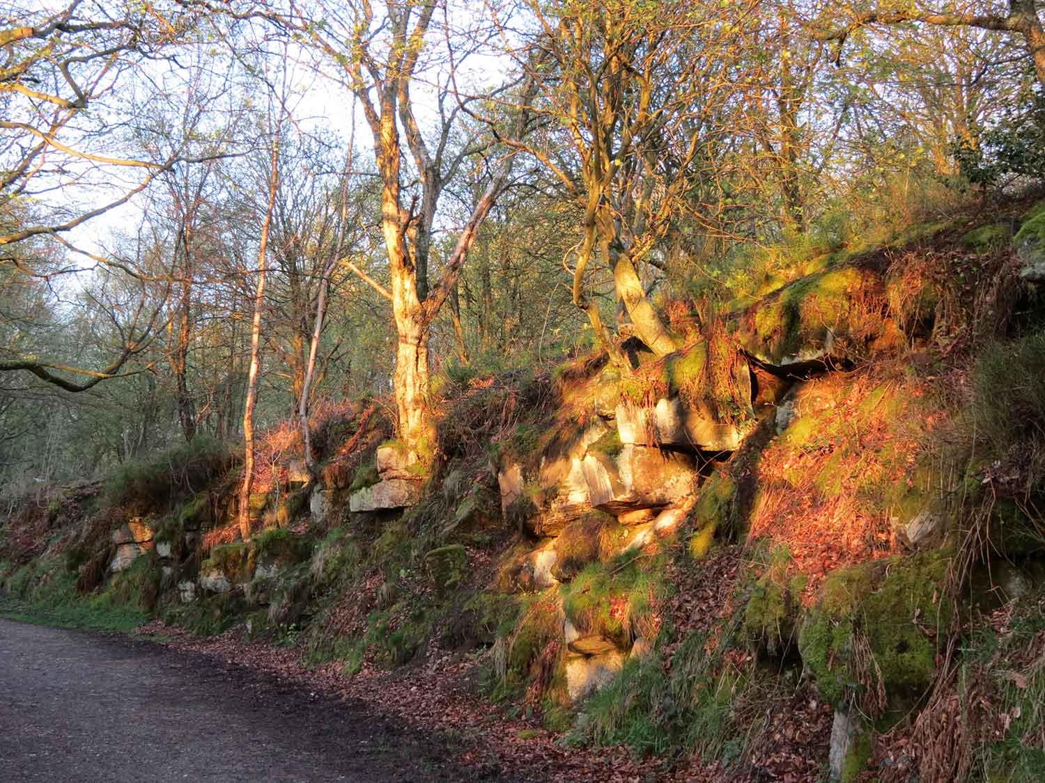 Wyming Brook at Dawn, May 2012 by Sarah Sidgwick