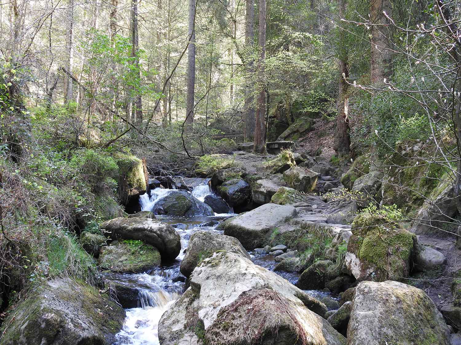 Wyming Brook by Robert Miller