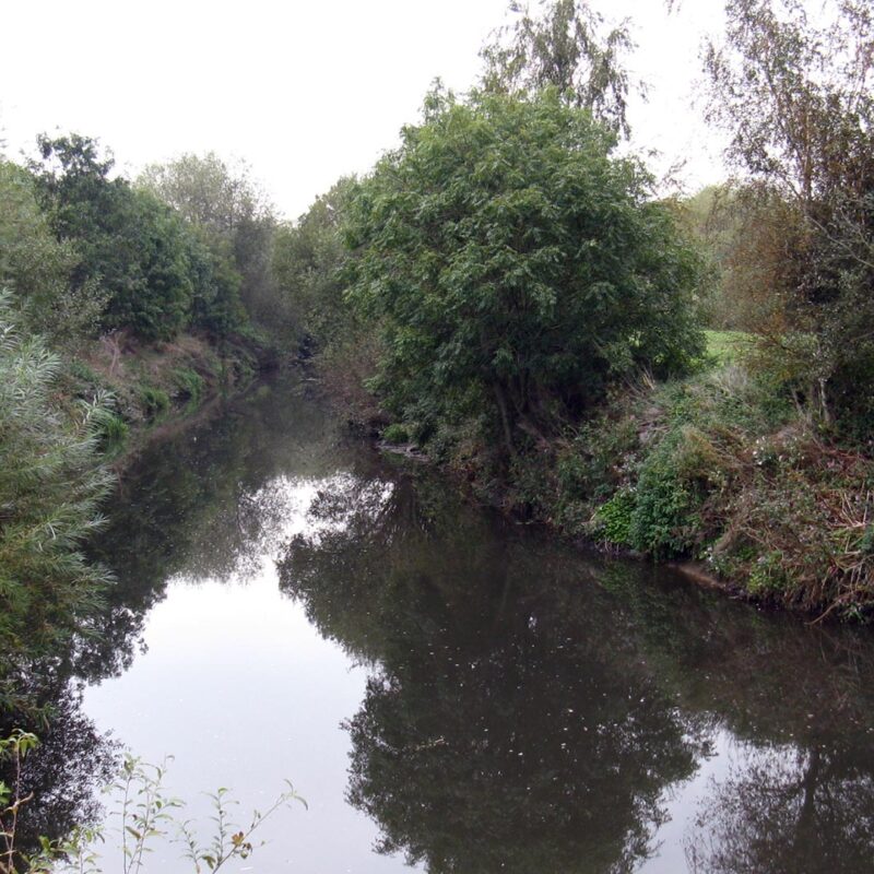 The River Rother at Catcliffe. Photo: Nabil Abbas