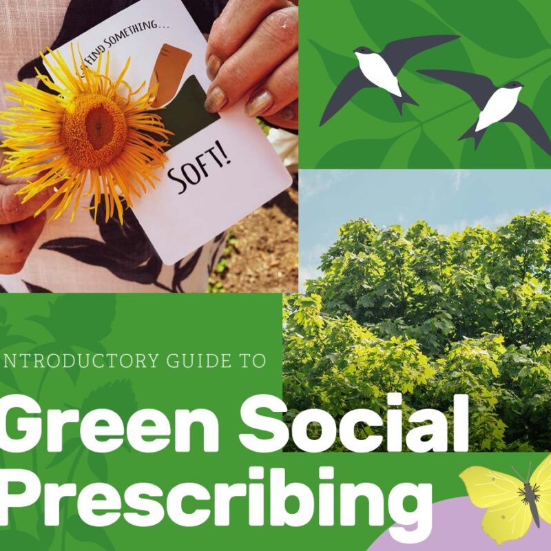 Learn more about what Green Social Prescribing is