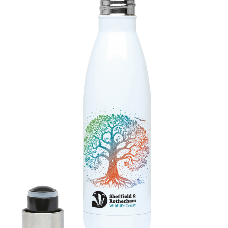 Nature-Inspired Tree 500ml Water Bottle