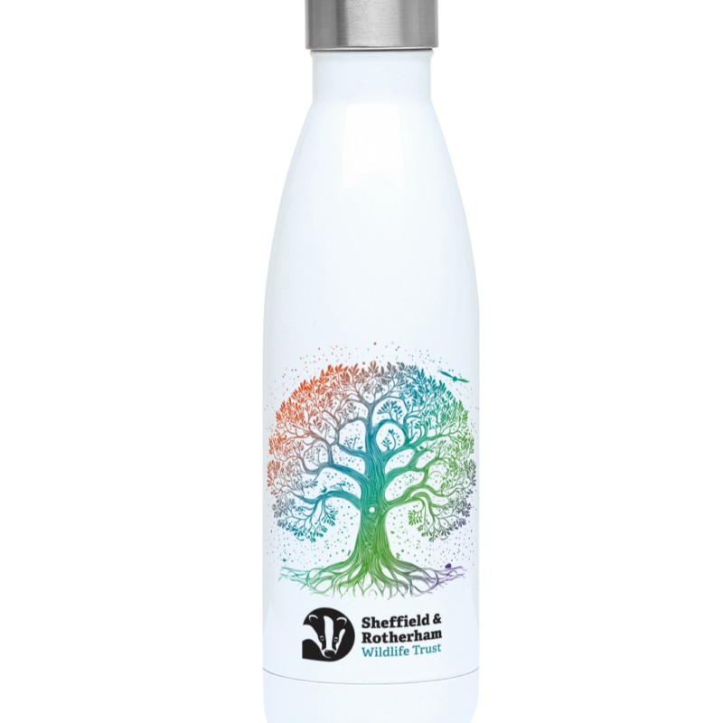 Nature-Inspired Tree 500ml Water Bottle