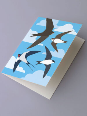 Swifts, Swallows and Martins Greetings Card