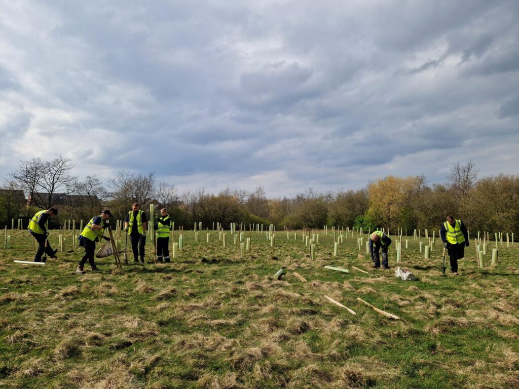 Wates Oaks Lane - Tree planting in Barnsley