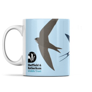 Swift, Swallow and Martins Borderless Mug: Forget Me Not