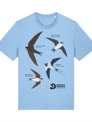 Swifts, Swallows and Martins Premium Organic T-Shirt