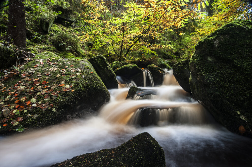 Wymiing Brook nature reserve. The water appears to be flowing like a ribbon through tumbled rocks in the bottom of the valley