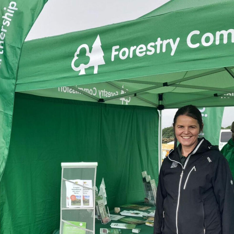 Alex Evans at the Forestry Commission stand at Honley Show on behalf of South Yorkshire Woodland Partnership