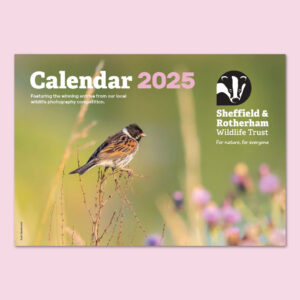 Sheffield & Rotherham Wildlife Trust Calendar 2025 Cover