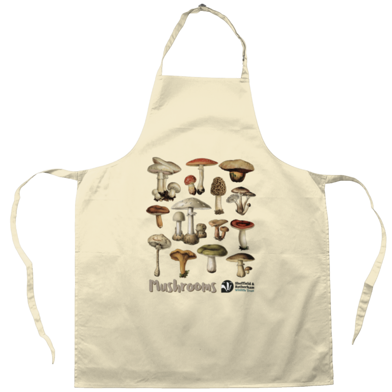 Mushrooms Illustration Apron - Natural