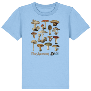 Mushrooms Kid's Premium Organic T-shirt: Blue Soul