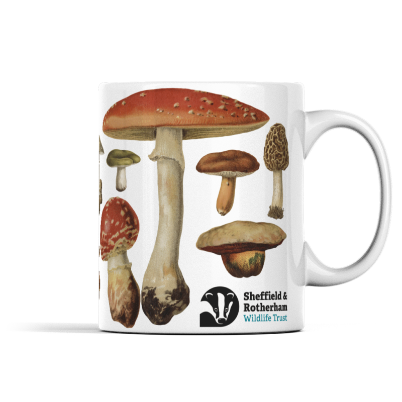 Mushrooms Mug