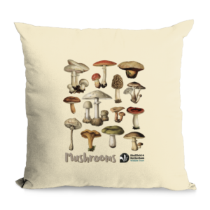 Mushrooms illustration Cushion